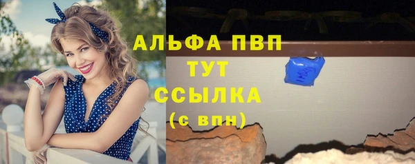 дурь Бородино