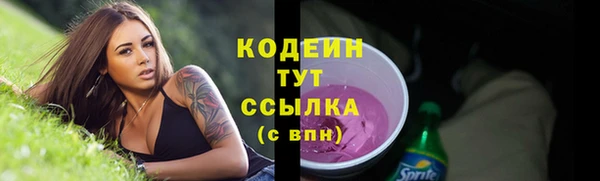 дурь Бородино