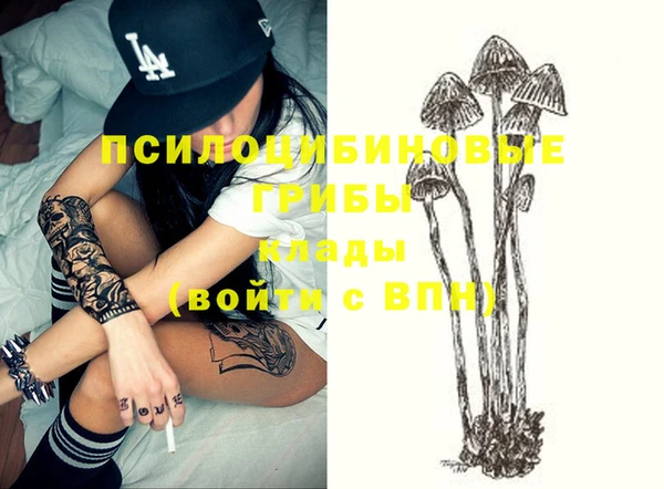 дурь Бородино