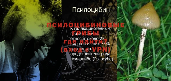 дурь Бородино