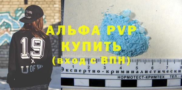 дурь Бородино